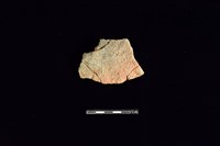 藏品(陶片)的圖片